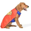 Fetch For Pets DC Comics Halloween Superman Dog Costume