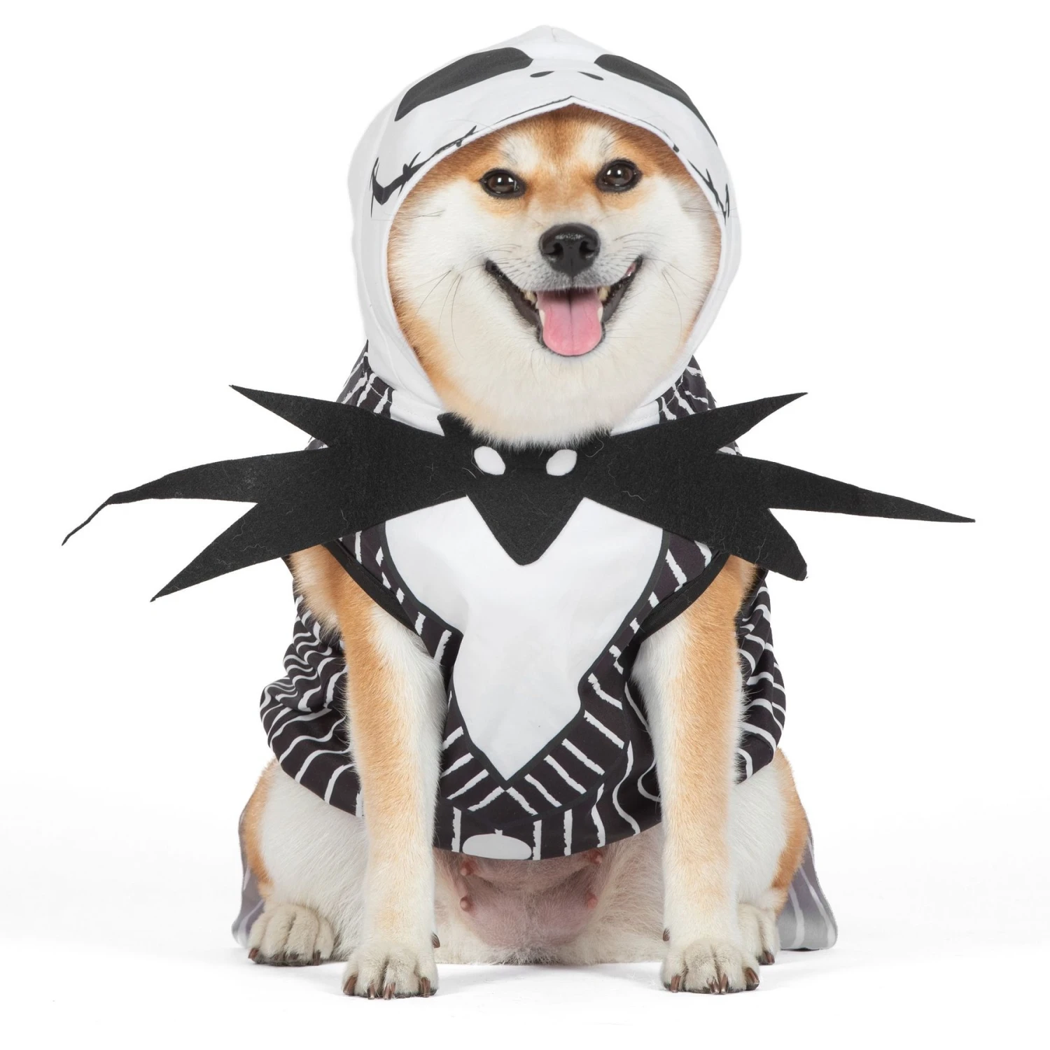 Fetch For Pets Disney Halloween Nightmare Before Christmas Jack Skellington Dog Costume 2 Fetch For Pets Disney Halloween Nightmare Before Christmas Jack Skellington Dog Costume - Image 2