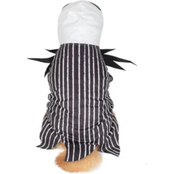 Fetch For Pets Disney Halloween Nightmare Before Christmas Jack Skellington Dog Costume 7 Fetch For Pets Disney Halloween Nightmare Before Christmas Jack Skellington Dog Costume -Pawsphoria Sales Store 364742 PT2. AC SS1800 V1659807504