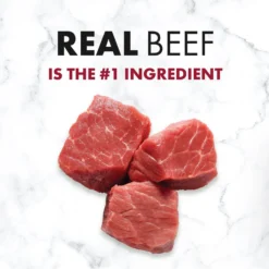 Nutro SO SIMPLE Adult Beef & Rice Recipe Natural Dry Dog Food -Pawsphoria Sales Store 366852 PT2. AC SS1800 V1702666794