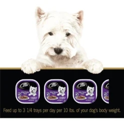 Cesar Classic Loaf In Sauce Grilled Chicken Flavor Grain-Free Small Breed Adult Wet Dog Food Trays -Pawsphoria Sales Store 367198 PT6. AC SS1800 V1644373315