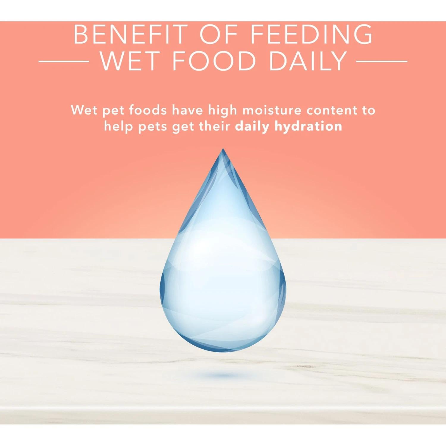 Blue Buffalo Life Protection Formula Large Breed Healthy Weight Adult Chicken & Brown Rice Recipe Dry Dog Food & Blue Buffalo True Solutions Healthy Weight Natural Weight Control Chicken Adult Wet Dog Food 5 Blue Buffalo Life Protection Formula Large Breed Healthy Weight Adult Chicken & Brown Rice Recipe Dry Dog Food & Blue Buffalo True Solutions Healthy Weight Natural Weight Control Chicken Adult Wet Dog Food - Image 5