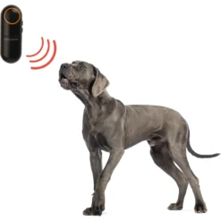 Pet Parade Dog Bark Stopper, Black -Pawsphoria Sales Store 367857 PT6. AC SS1800 V1645497325