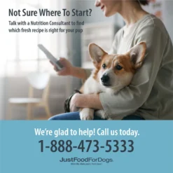 JustFoodForDogs Chicken & White Rice Recipe Frozen Human-Grade Fresh Dog Food -Pawsphoria Sales Store 368085 PT3. AC SS1800 V1701882858