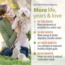 JustFoodForDogs Chicken & White Rice Recipe Frozen Human-Grade Fresh Dog Food -Pawsphoria Sales Store 368085 PT5. AC SS1800 V1701882809