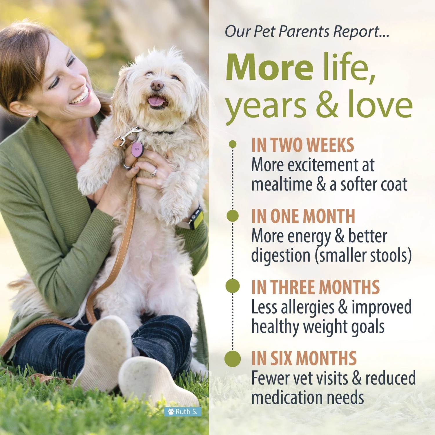 JustFoodForDogs Turkey & Whole Wheat Macaroni Recipe Frozen Human-Grade Fresh Dog Food 5 JustFoodForDogs Turkey & Whole Wheat Macaroni Recipe Frozen Human-Grade Fresh Dog Food - Image 5