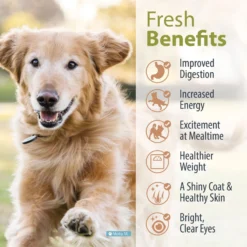 JustFoodForDogs Veterinary Diet Metabolic Support Frozen Human-Grade Fresh Dog Food 13 JustFoodForDogs Veterinary Diet Metabolic Support Frozen Human-Grade Fresh Dog Food -Pawsphoria Sales Store 368128 PT4. AC SS1800 V1675350611
