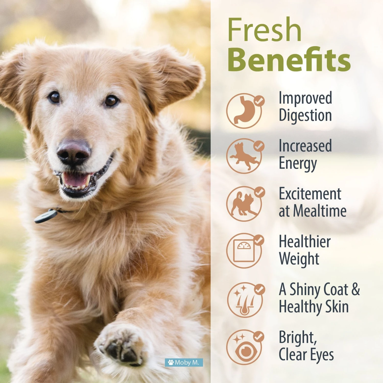 JustFoodForDogs Veterinary Diet Metabolic Support Frozen Human-Grade Fresh Dog Food 5 JustFoodForDogs Veterinary Diet Metabolic Support Frozen Human-Grade Fresh Dog Food - Image 5