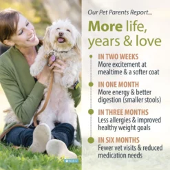 JustFoodForDogs Veterinary Diet Metabolic Support Frozen Human-Grade Fresh Dog Food 14 JustFoodForDogs Veterinary Diet Metabolic Support Frozen Human-Grade Fresh Dog Food -Pawsphoria Sales Store 368128 PT5. AC SS1800 V1675350535