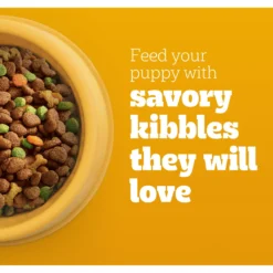 Pedigree Puppy Growth & Protection Chicken & Vegetable Flavor Dry Dog Food 12 Pedigree Puppy Growth & Protection Chicken & Vegetable Flavor Dry Dog Food -Pawsphoria Sales Store 368360 PT3. AC SS1800 V1668027274