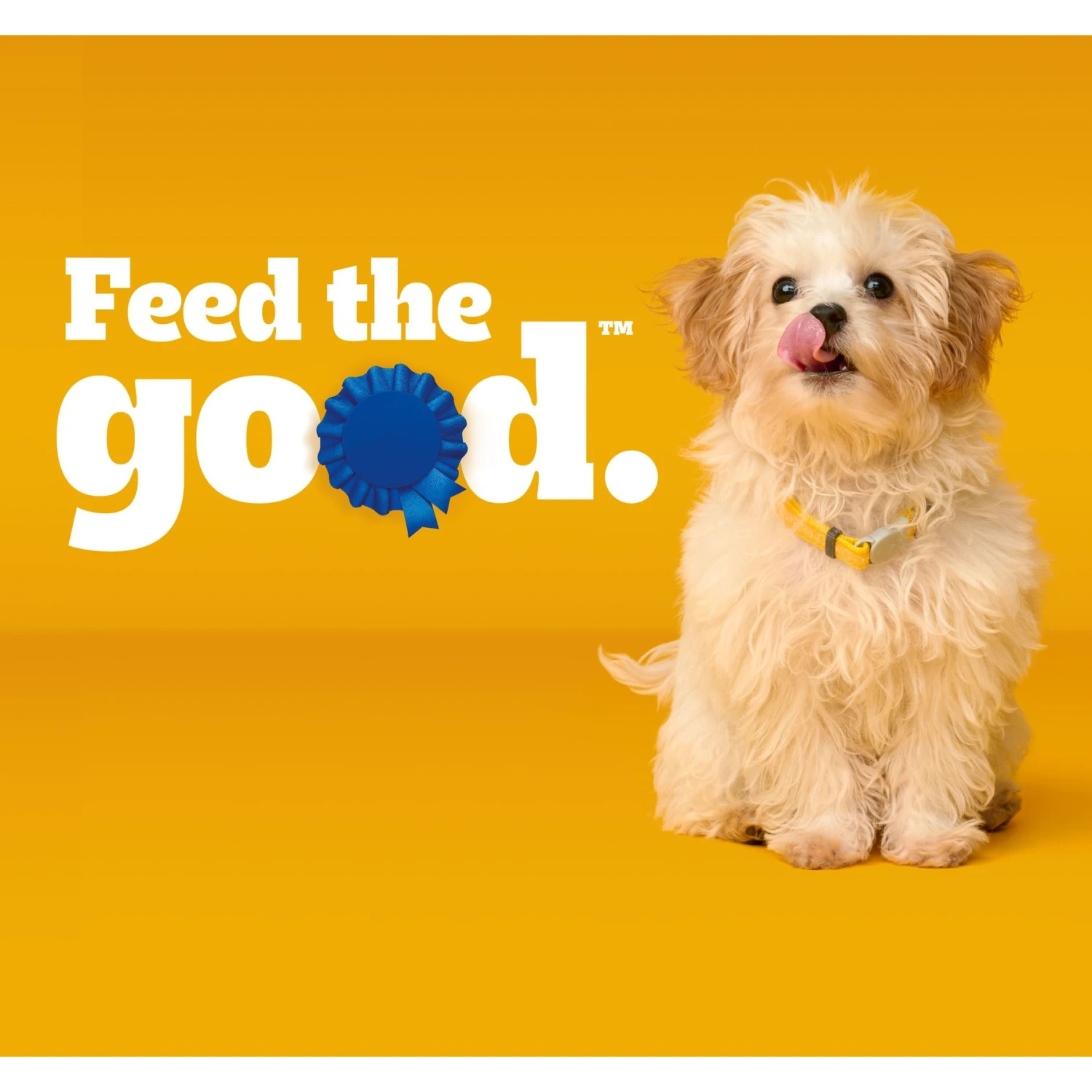Pedigree Puppy Growth & Protection Chicken & Vegetable Flavor Dry Dog Food 9 Pedigree Puppy Growth & Protection Chicken & Vegetable Flavor Dry Dog Food - Image 9