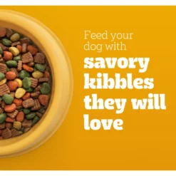 Pedigree High Protein Chicken & Turkey Flavor Adult Dry Dog Food -Pawsphoria Sales Store 368365 PT3. AC SS1800 V1668025396