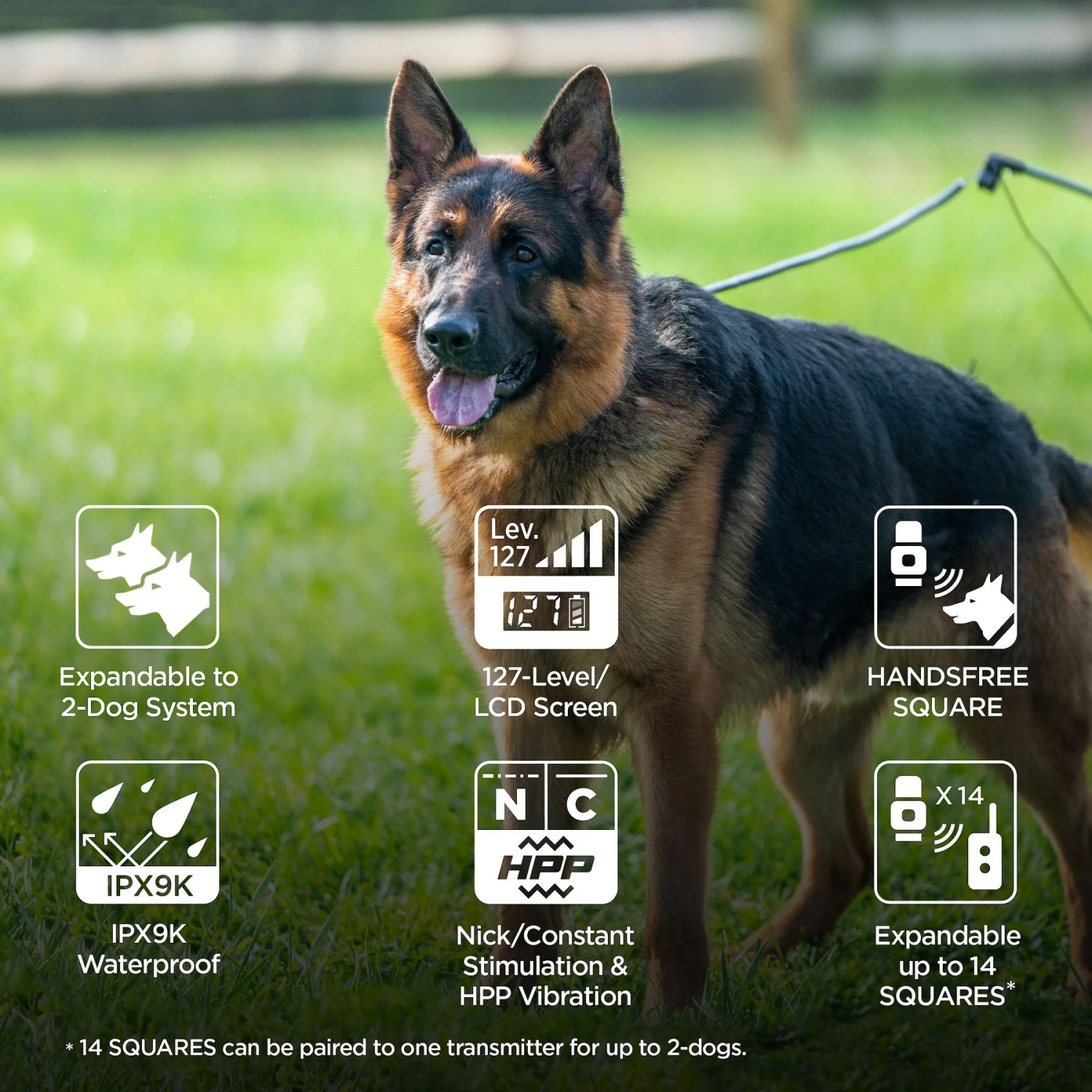 Dogtra ARC Handsfree Plus Dog Collar, Black 6 Dogtra ARC Handsfree Plus Dog Collar, Black - Image 6