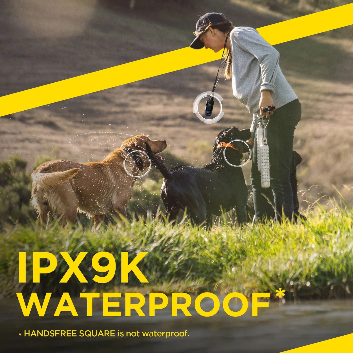 Dogtra ARC Handsfree Plus Dog Collar, Black 7 Dogtra ARC Handsfree Plus Dog Collar, Black - Image 7