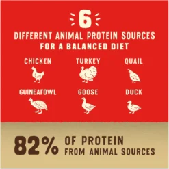 Stella & Chewy's Puppy Prairie Recipe Wild Red Raw Coated High Protein Wholesome Grains Dry Dog Food -Pawsphoria Sales Store 370802 PT5. AC SS1800 V1667519534