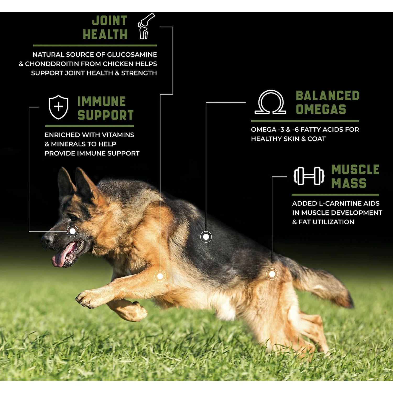 SPORTMiX CanineX Performance Chicken Formula Dry Dog Food 4 SPORTMiX CanineX Performance Chicken Formula Dry Dog Food - Image 4