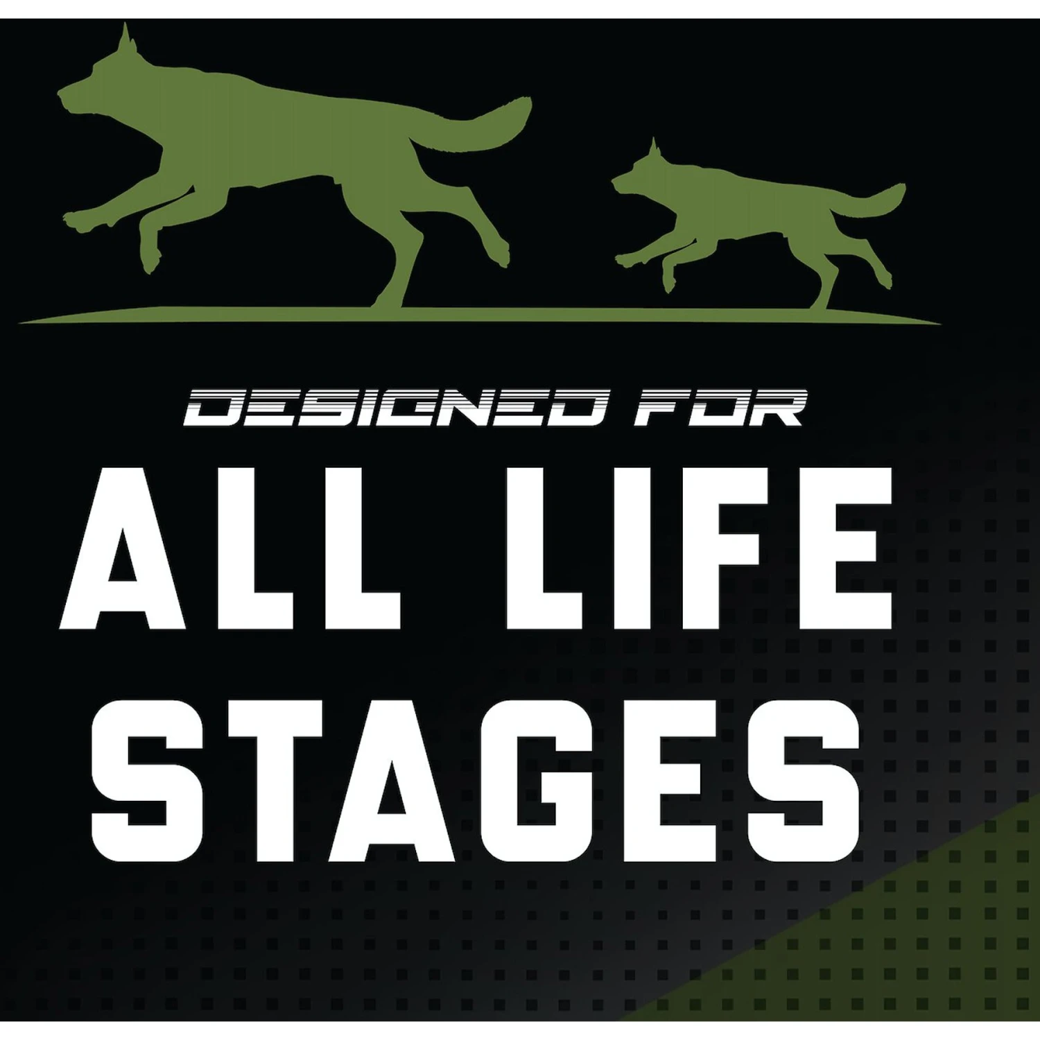 SPORTMiX CanineX Performance Chicken Formula Dry Dog Food 5 SPORTMiX CanineX Performance Chicken Formula Dry Dog Food - Image 5