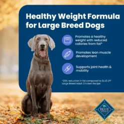 Blue Buffalo Life Protection Formula Large Breed Healthy Weight Adult Chicken & Brown Rice Recipe Dry Dog Food -Pawsphoria Sales Store 46892 PT3. AC SS1800 V1701982219