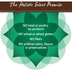 Holistic Select Large & Giant Breed Puppy Health Lamb Meal & Oatmeal Recipe Dry Dog Food -Pawsphoria Sales Store 47634 PT6. AC SS1800 V1660707237