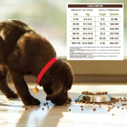 Holistic Select Adult Health Lamb Meal Recipe Dry Dog Food -Pawsphoria Sales Store 47639 PT5. AC SS1800 V1660574177