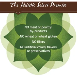 Holistic Select Adult Health Lamb Meal Recipe Dry Dog Food -Pawsphoria Sales Store 47639 PT6. AC SS1800 V1660706872