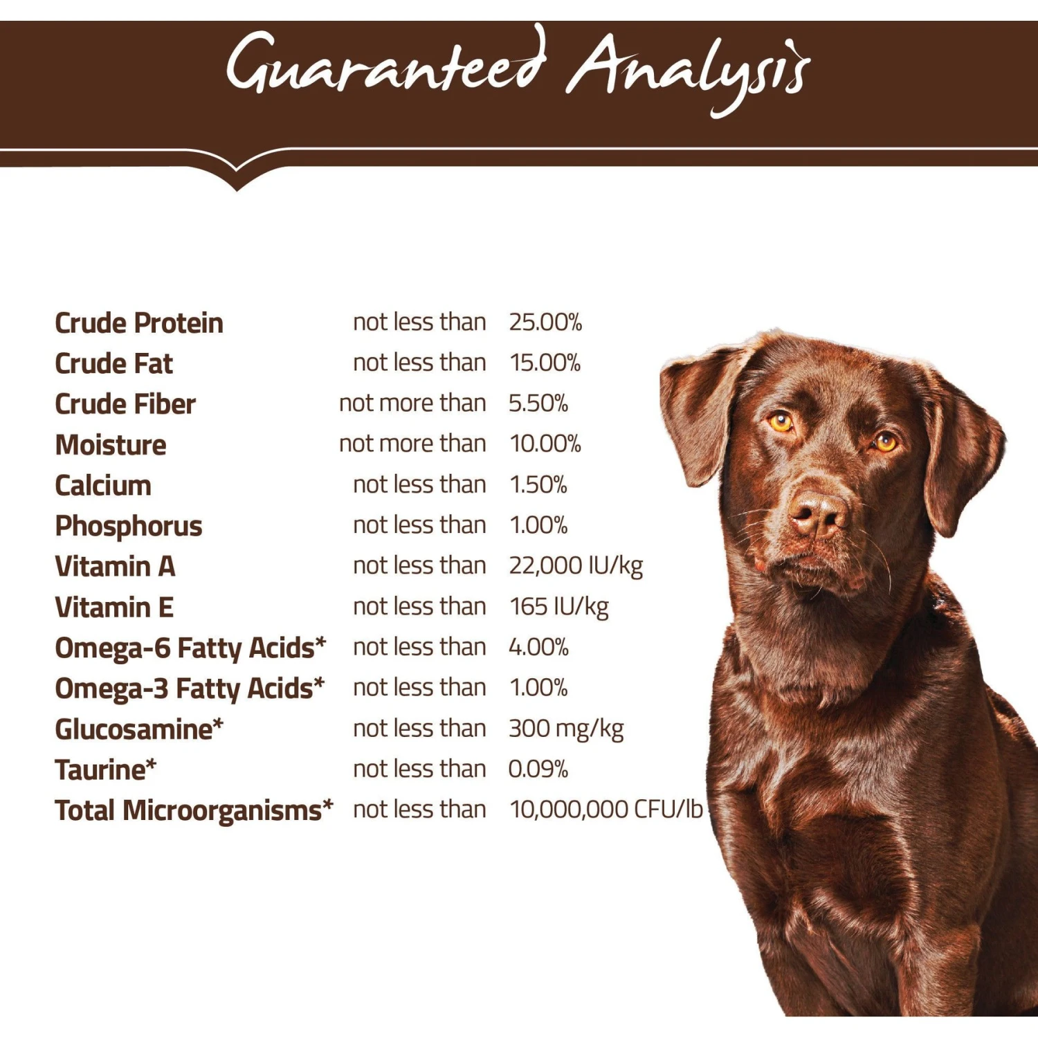 Holistic Select Adult Health Chicken Meal & Brown Rice Recipe Dry Dog Food 4 Holistic Select Adult Health Chicken Meal & Brown Rice Recipe Dry Dog Food - Image 4