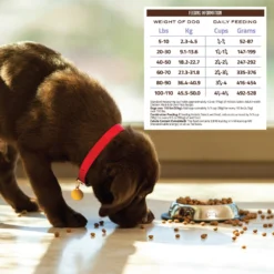 Holistic Select Adult Health Chicken Meal & Brown Rice Recipe Dry Dog Food 12 Holistic Select Adult Health Chicken Meal & Brown Rice Recipe Dry Dog Food -Pawsphoria Sales Store 47645 PT5. AC SS1800 V1660574121