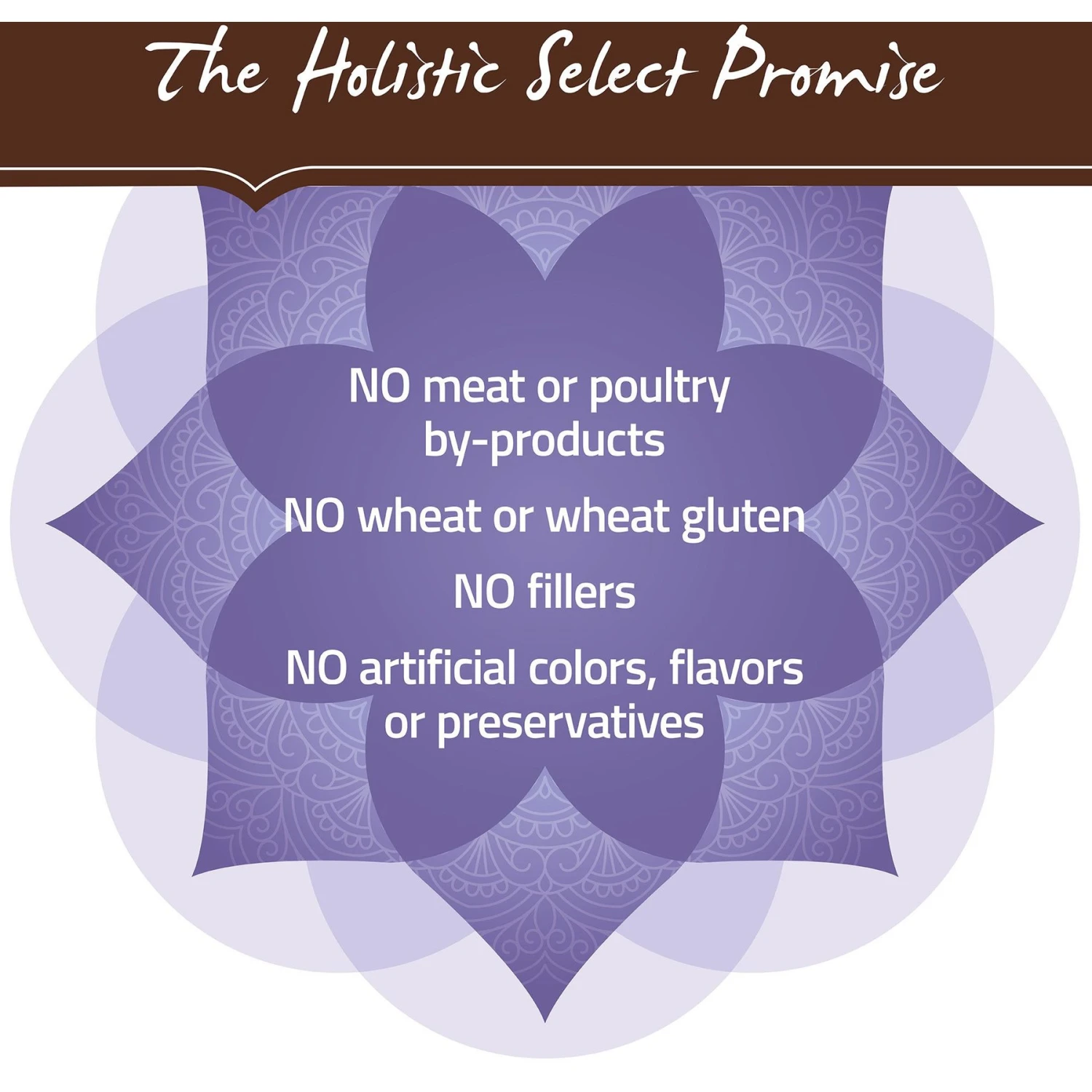 Holistic Select Adult Health Chicken Meal & Brown Rice Recipe Dry Dog Food 6 Holistic Select Adult Health Chicken Meal & Brown Rice Recipe Dry Dog Food - Image 6