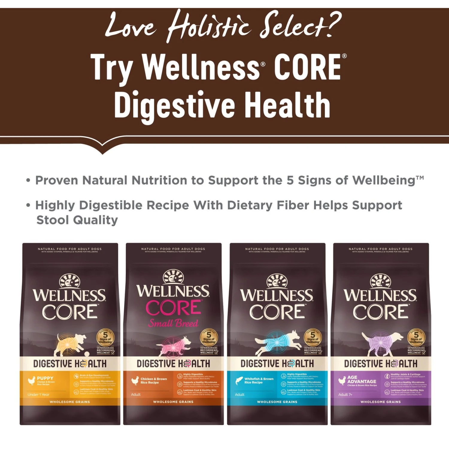 Holistic Select Adult Health Chicken Meal & Brown Rice Recipe Dry Dog Food 7 Holistic Select Adult Health Chicken Meal & Brown Rice Recipe Dry Dog Food - Image 7