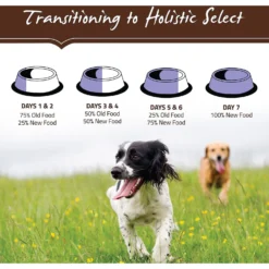 Holistic Select Adult Health Chicken Meal & Brown Rice Recipe Dry Dog Food 15 Holistic Select Adult Health Chicken Meal & Brown Rice Recipe Dry Dog Food -Pawsphoria Sales Store 47645 PT8. AC SS1800 V1510679586