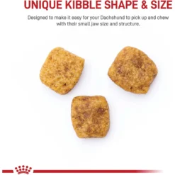 Royal Canin Breed Health Nutrition Dachshund Adult Dry Dog Food -Pawsphoria Sales Store 48694 PT3. AC SS1800 V1697054916
