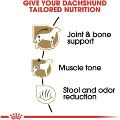 Royal Canin Breed Health Nutrition Dachshund Adult Dry Dog Food -Pawsphoria Sales Store 48694 PT4. AC SS1800 V1697054916