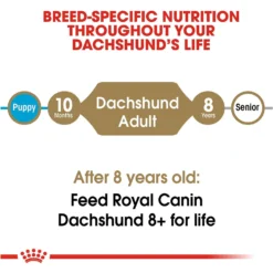 Royal Canin Breed Health Nutrition Dachshund Adult Dry Dog Food -Pawsphoria Sales Store 48694 PT6. AC SS1800 V1697054916