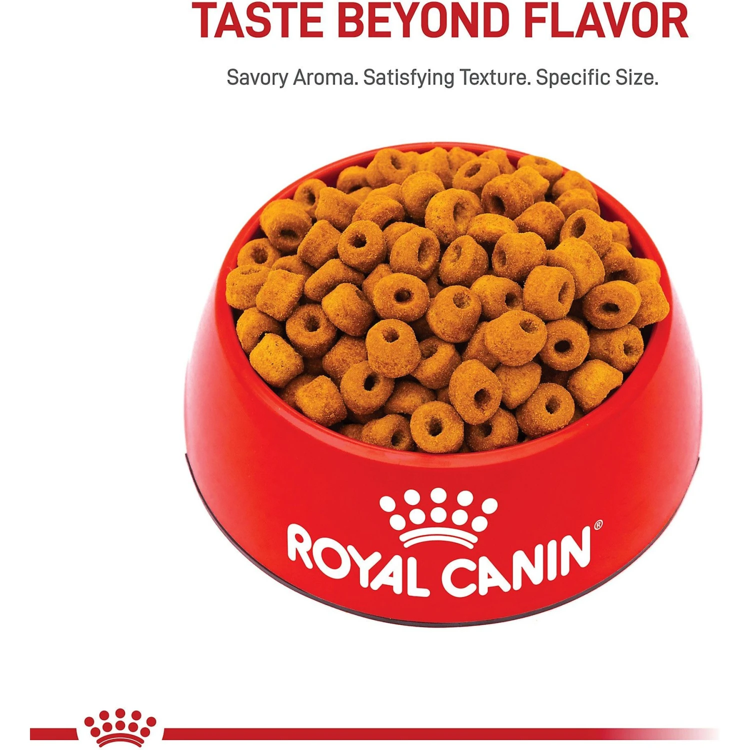 Royal Canin Breed Health Nutrition Labrador Retriever Adult Dry Dog Food 2 Royal Canin Breed Health Nutrition Labrador Retriever Adult Dry Dog Food - Image 2