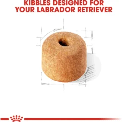 Royal Canin Breed Health Nutrition Labrador Retriever Adult Dry Dog Food 12 Royal Canin Breed Health Nutrition Labrador Retriever Adult Dry Dog Food -Pawsphoria Sales Store 48736 PT3. AC SS1800 V1697216115