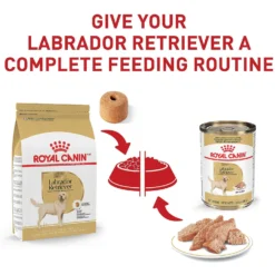 Royal Canin Breed Health Nutrition Labrador Retriever Adult Dry Dog Food 14 Royal Canin Breed Health Nutrition Labrador Retriever Adult Dry Dog Food -Pawsphoria Sales Store 48736 PT5. AC SS1800 V1697212824