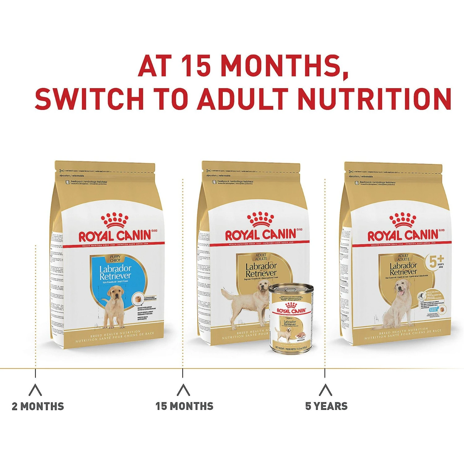 Royal Canin Breed Health Nutrition Labrador Retriever Adult Dry Dog Food 7 Royal Canin Breed Health Nutrition Labrador Retriever Adult Dry Dog Food - Image 7
