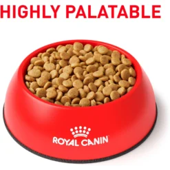 Royal Canin Veterinary Diet Adult Gastrointestinal High Fiber Dry Dog Food -Pawsphoria Sales Store 48746 PT2. AC SS1800 V1692048535