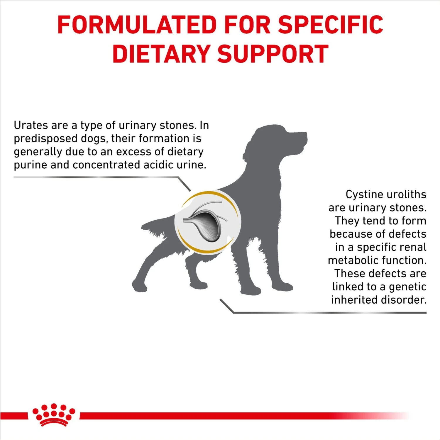 Royal Canin Veterinary Diet Adult Urinary UC Dry Dog Food 6 Royal Canin Veterinary Diet Adult Urinary UC Dry Dog Food - Image 6
