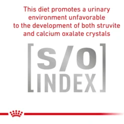 Royal Canin Veterinary Diet Adult Urinary SO Moderate Calorie Dry Dog Food -Pawsphoria Sales Store 48762 PT7. AC SS1800 V1670423529