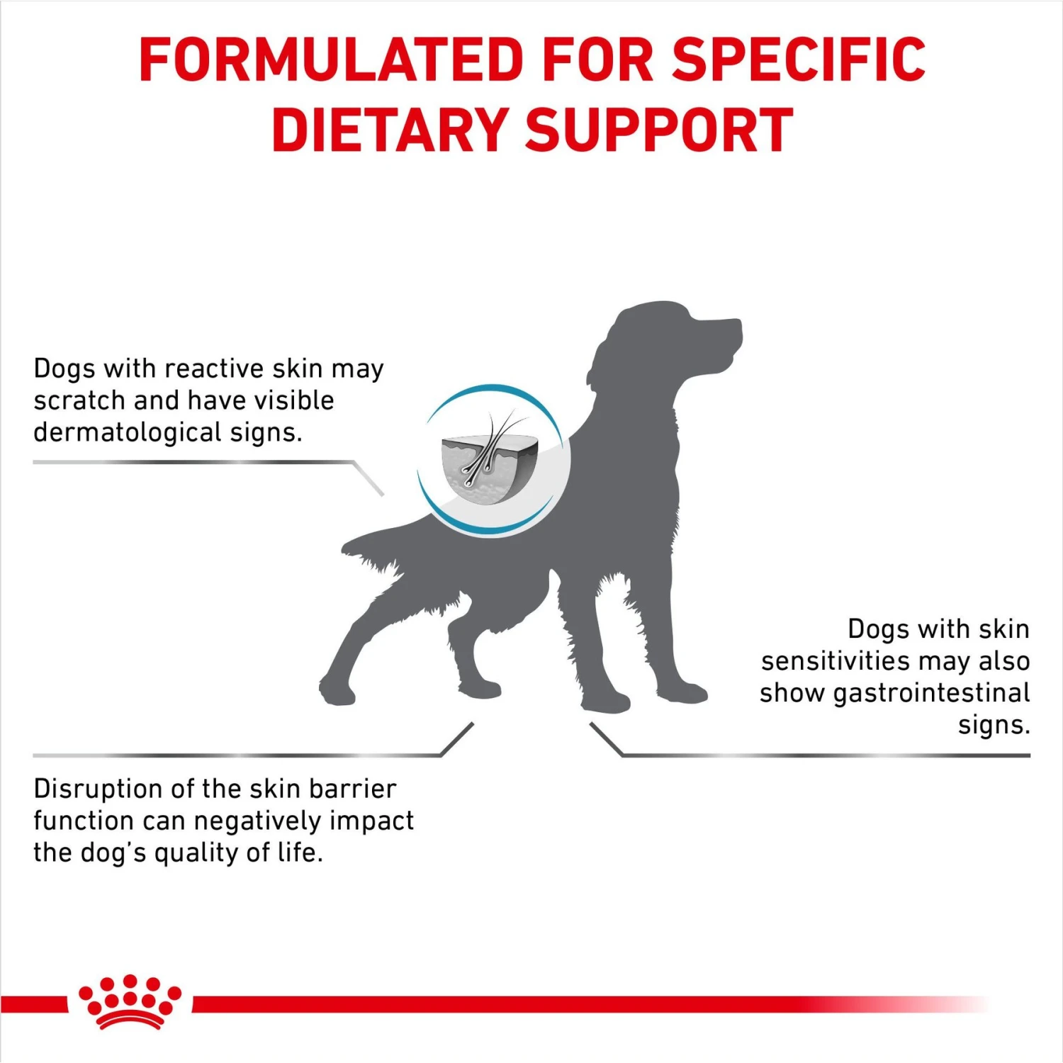 Royal Canin Veterinary Diet Adult Skin Support Dry Dog Food 3 Royal Canin Veterinary Diet Adult Skin Support Dry Dog Food - Image 3