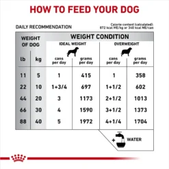 Royal Canin Veterinary Diet Adult Hydrolyzed Protein Loaf Canned Dog Food -Pawsphoria Sales Store 48779 PT6. AC SS1800 V1695135185