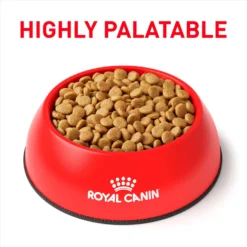 Royal Canin Veterinary Diet Adult Hydrolyzed Protein Small Breed Dry Dog Food -Pawsphoria Sales Store 48839 PT2. AC SS1800 V1693317635