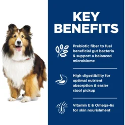 Hill's Science Diet Adult Sensitive Stomach & Sensitive Skin Chicken Recipe Dry Dog Food -Pawsphoria Sales Store 48856 PT5. AC SS1800 V1634575573