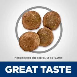 Hill's Science Diet Adult Sensitive Stomach & Sensitive Skin Chicken Recipe Dry Dog Food -Pawsphoria Sales Store 48856 PT6. AC SS1800 V1634576506