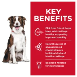 Hill's Science Diet Adult Healthy Mobility Large Breed Chicken Meal, Brown Rice & Barley Recipe Dry Dog Food -Pawsphoria Sales Store 48930 PT2. AC SS1800 V1629133290