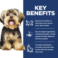 Hill's Science Diet Adult Small & Mini Chicken Meal & Rice Recipe Dry Dog Food -Pawsphoria Sales Store 48941 PT5. AC SS1800 V1692798791