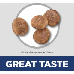 Hill's Science Diet Adult Small & Mini Chicken Meal & Rice Recipe Dry Dog Food -Pawsphoria Sales Store 48941 PT6. AC SS1800 V1692801732