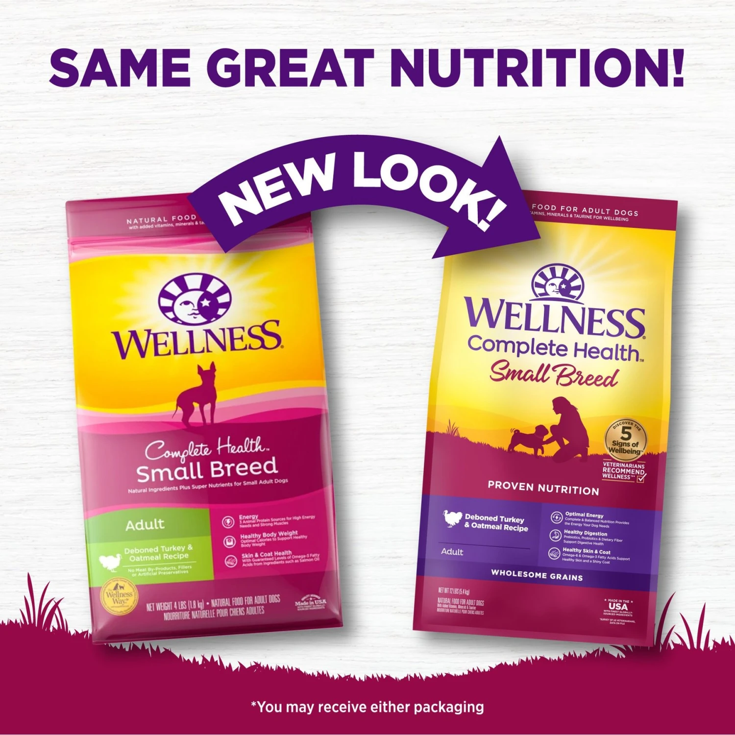 Wellness Small Breed Complete Health Adult Turkey & Oatmeal Recipe Natural Dry Dog Food 2 Wellness Small Breed Complete Health Adult Turkey & Oatmeal Recipe Natural Dry Dog Food - Image 2