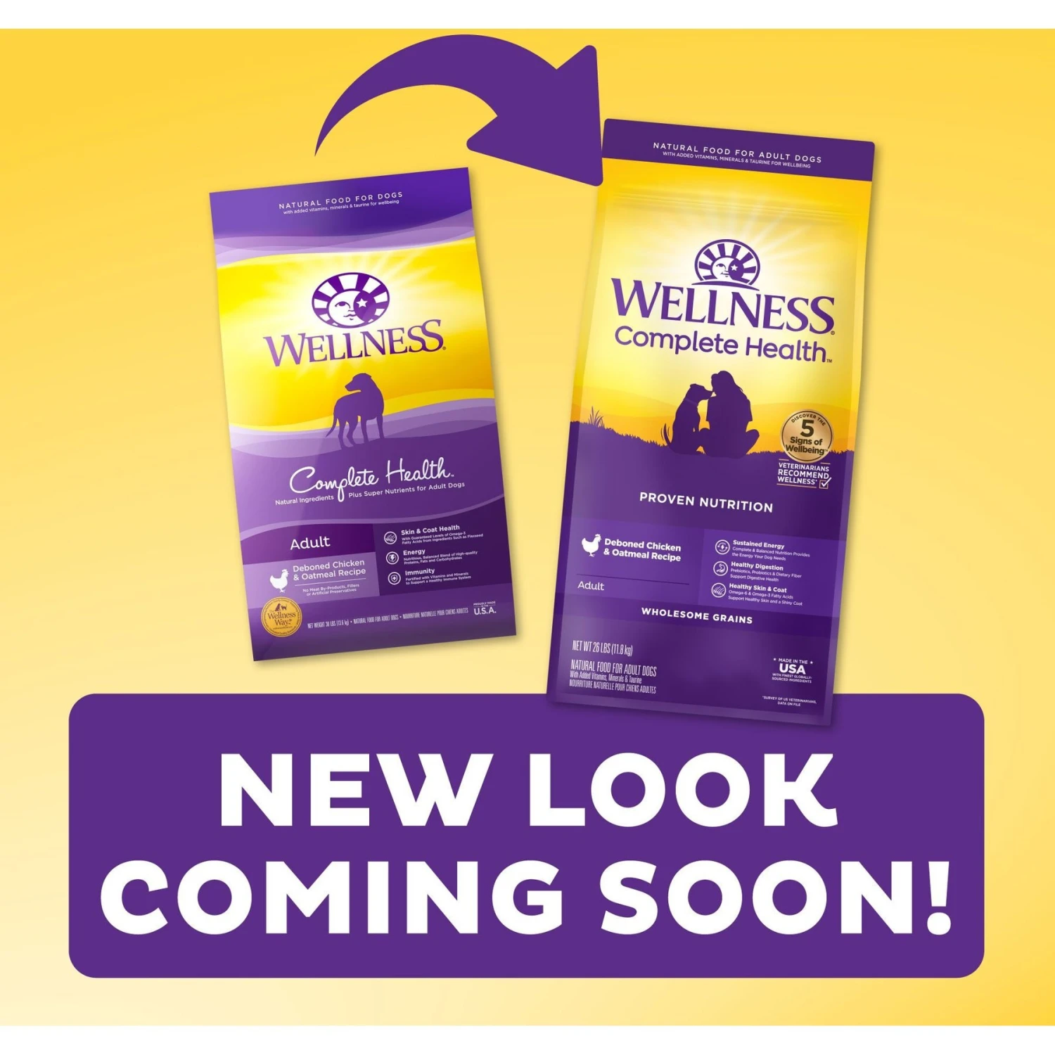 Wellness Complete Health Adult Deboned Chicken & Oatmeal Recipe Dry Dog Food 2 Wellness Complete Health Adult Deboned Chicken & Oatmeal Recipe Dry Dog Food - Image 2